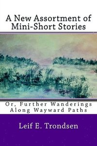 bokomslag A New Assortment of Mini-Short Stories: Or, Further Wanderings Along Wayward Paths