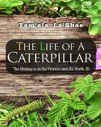 bokomslag The Life Of A Caterpillar Workbook: The Healing Is In The Process and It's Worth It!