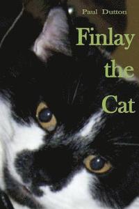 bokomslag Finlay the Cat