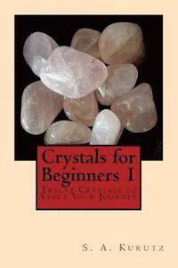 bokomslag Crystals for Beginners 1