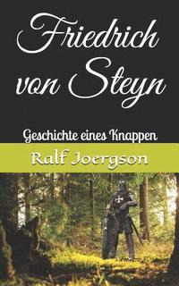 bokomslag Friedrich von Steyn: Geschichte eines Knappen