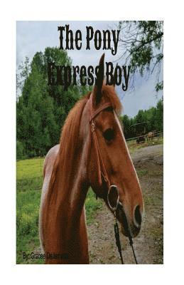 bokomslag The Pony Express Boy: A Story of Strength, Courage, and Determination