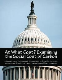 bokomslag At What Cost? Examining the Social Cost of Carbon