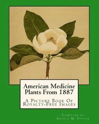 bokomslag American Medicine Plants From 1887: A Picture Book Of Royalty-Free Images