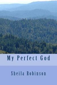 bokomslag My Perfect God