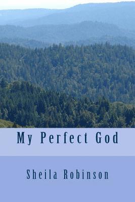 bokomslag My Perfect God