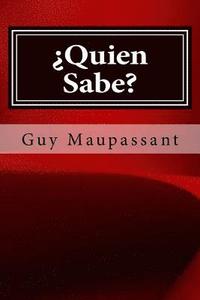 bokomslag Quien Sabe