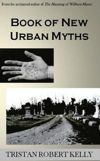 bokomslag Book of New Urban Myths