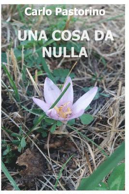 bokomslag Una cosa da nulla: (Quasi un romanzo)