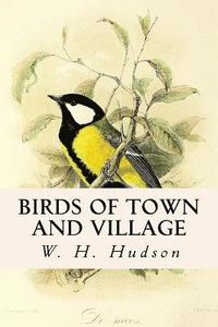 bokomslag Birds of Town and Village