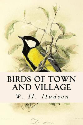 bokomslag Birds of Town and Village