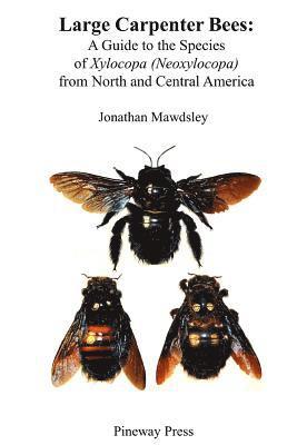 bokomslag Large Carpenter Bees: A Guide to Species of Xylocopa (Neoxylocopa) from North and Central America