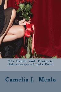 bokomslag The Erotic and Platonic Adventures of Lula Pom