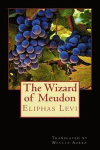 bokomslag The Wizard of Meudon
