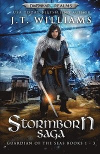 bokomslag Stormborn Saga: Guardian of the Seas