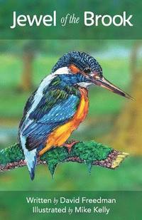 bokomslag Jewel of the Brook: The Kingfisher's Tale