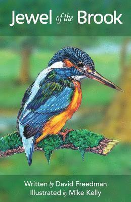 bokomslag Jewel of the Brook: The Kingfisher's Tale