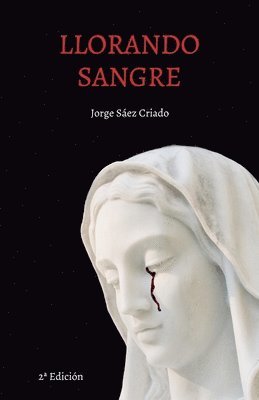 bokomslag Llorando sangre