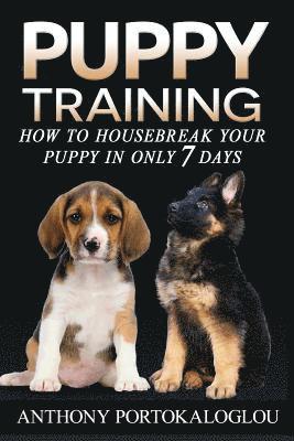 Puppy training 2 1