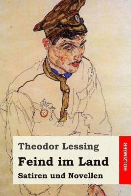 bokomslag Feind im Land: Satiren und Novellen