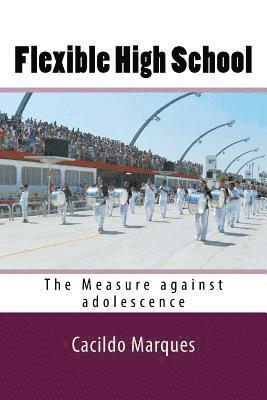 bokomslag Flexible High School: The Measure against adolescence