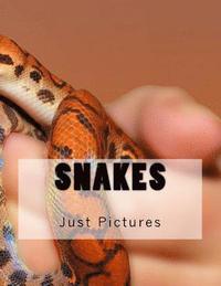 bokomslag Snakes