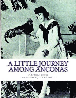 bokomslag A Little Journey Among Anconas: Breeding and Keeping the Ancona Chicken