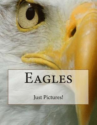 Eagles 1