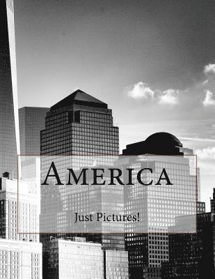 Just Pictures! - America, Häftad
