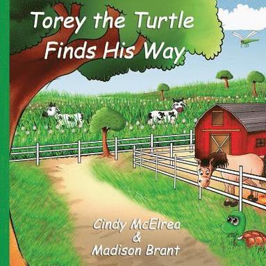 bokomslag Torey the Turtle Finds His Way