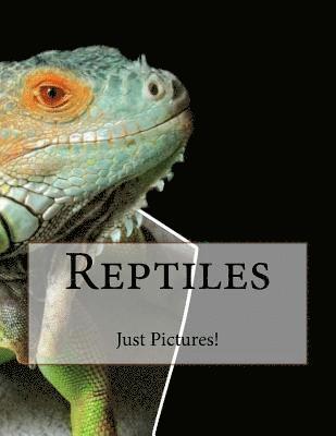 bokomslag Reptiles