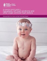 bokomslag An expectant parent's guide to hypoplastic left heart syndrome and other single ventricle heart defects