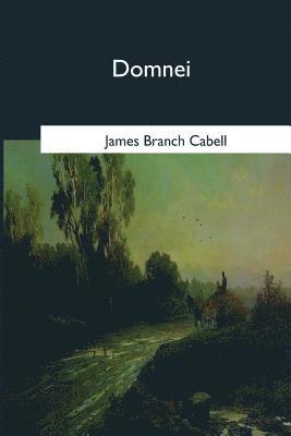 bokomslag Domnei