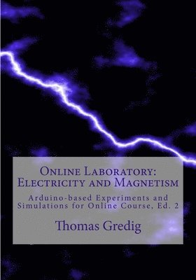 Online Laboratory: Electricity and Magnetism: Home Experiments and Simulations 1