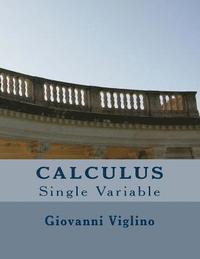 bokomslag Calculus: Single Variable