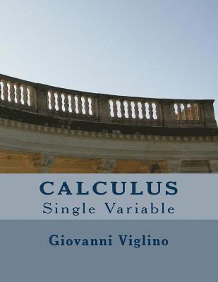 Calculus: Single Variable 1