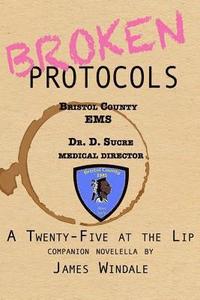 bokomslag Broken Protocols