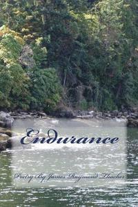 bokomslag Endurance: Poetry By James Raymond Thacher
