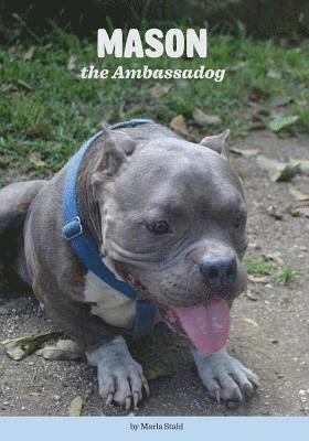 Mason the Ambassadog