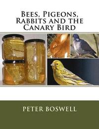 bokomslag Bees, Pigeons, Rabbits and the Canary Bird