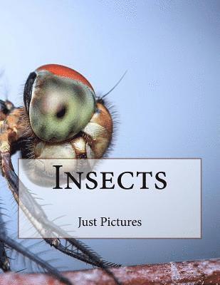 Insects 1