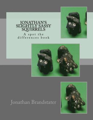 bokomslag Jonathan's slightly sassy squirrels: A spot the differences book