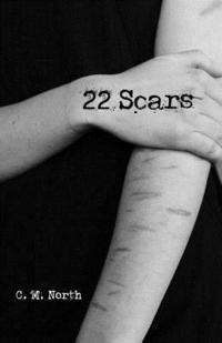 bokomslag 22 Scars