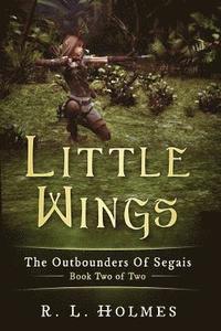 bokomslag Little Wings: The Outbounders of Segais - Book Two Of Two