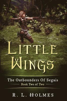 Little Wings: The Outbounders of Segais - Book Two Of Two 1