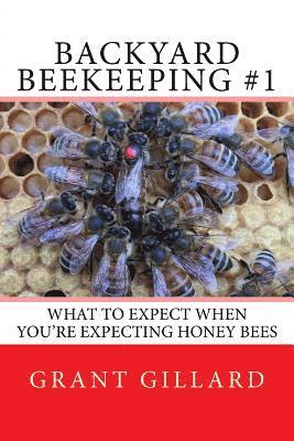 bokomslag Backyard Beekeeping #1: What to Expect When You're Expecting Honey Bees