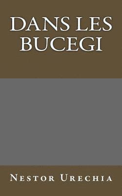 bokomslag Dans les Bucegi