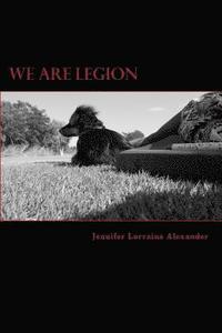 bokomslag We Are Legion