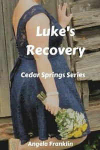 bokomslag Luke's Recovery