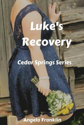 bokomslag Luke's Recovery
